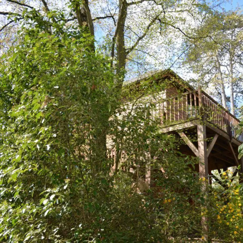 Cabane - Manoir du Parc à Amboise